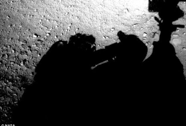 화성 사진에서 한 남자가 발견되었습니다. 