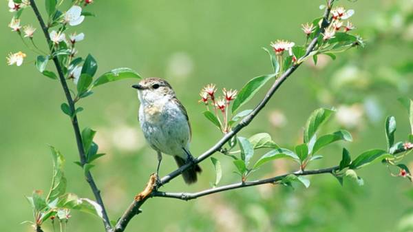 5 월 4 일에 서명 5 월 4 일에 서명