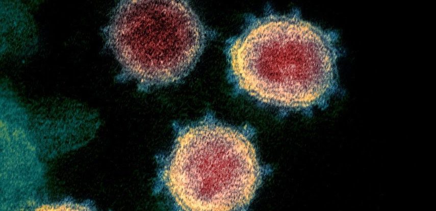 보건 당국은 미국에서 COVID-19의 확산을 예상합니다 