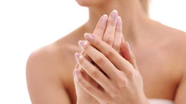 전조의 중간 지골 전조의 중간 지골