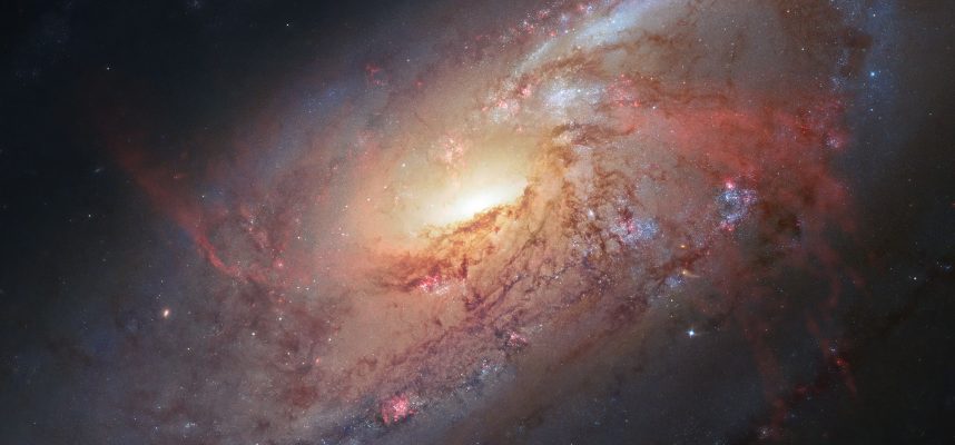 외계 생명체를 찾는 유명한 방정식은 COVID-19의 확산을 예측하는 새로운 방법을 정의합니다 